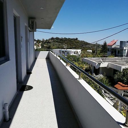 Paulsia Apartments Psinthos Extérieur photo
